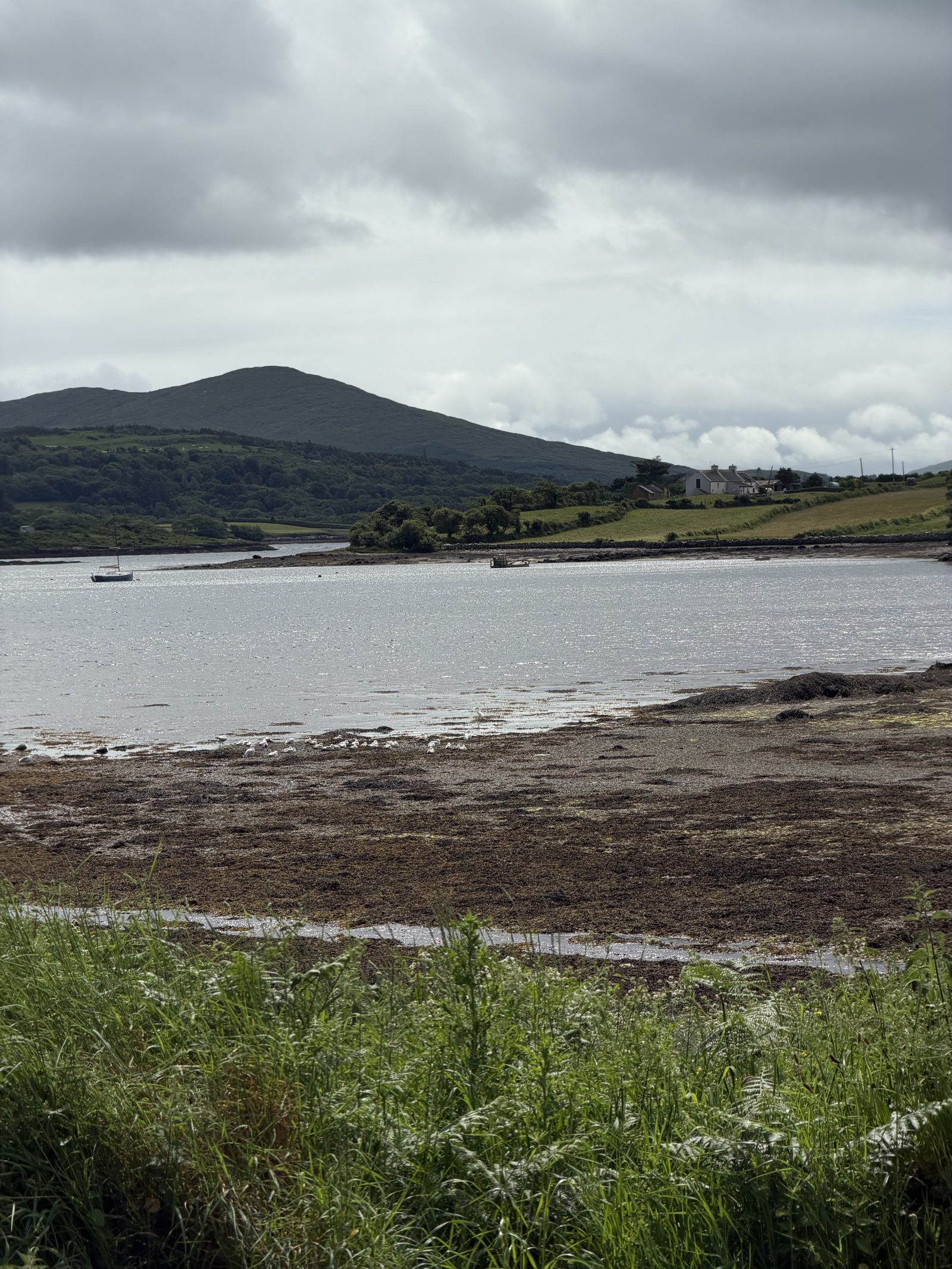 A tidal inlet on the peninsula, a green hill rising across the water under a grey sky