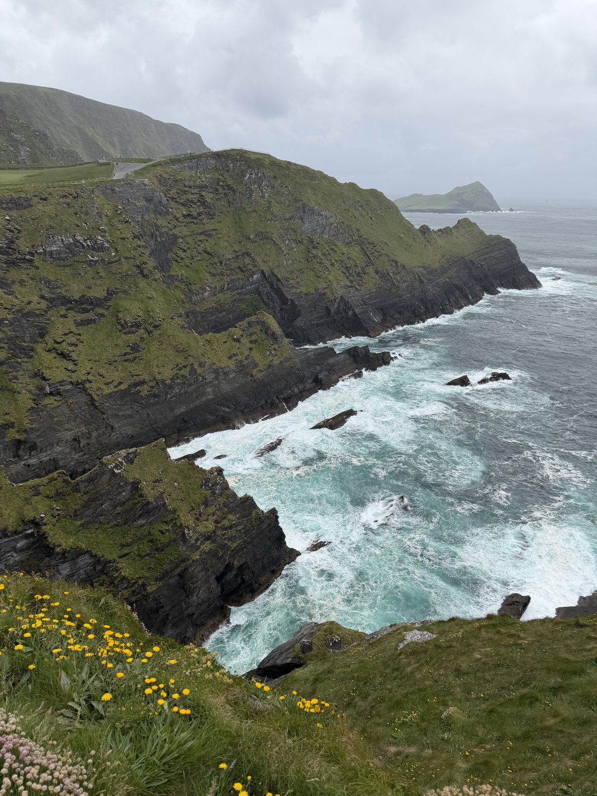 The Kerry Cliffs with wildflowers on day six