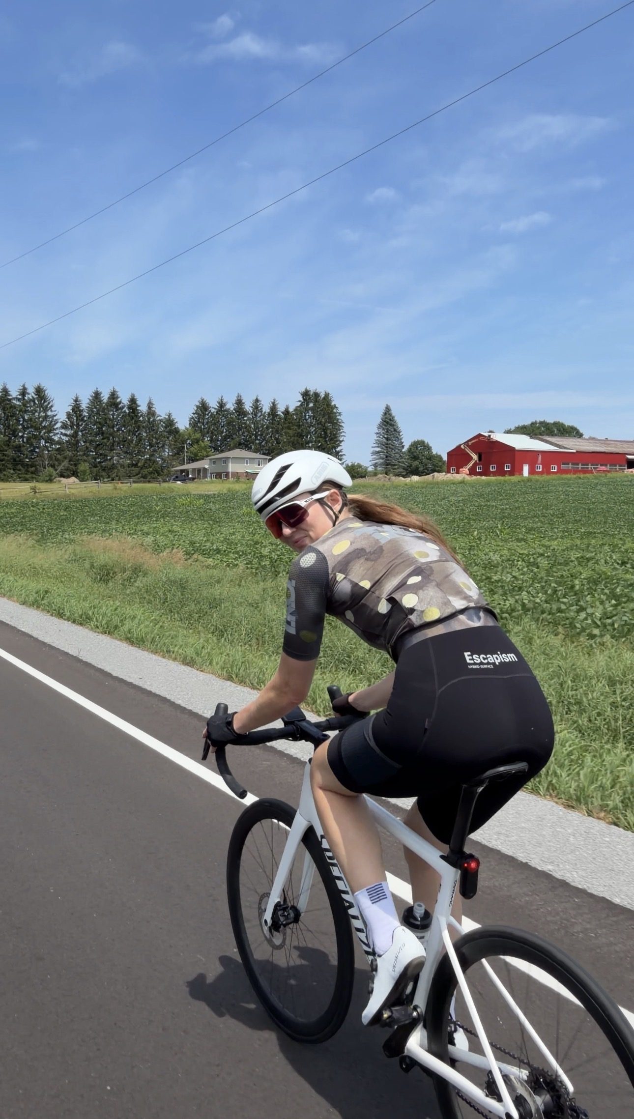 Bailey glancing back at the camera on a freshly paved farm road, a red barn and green field behind