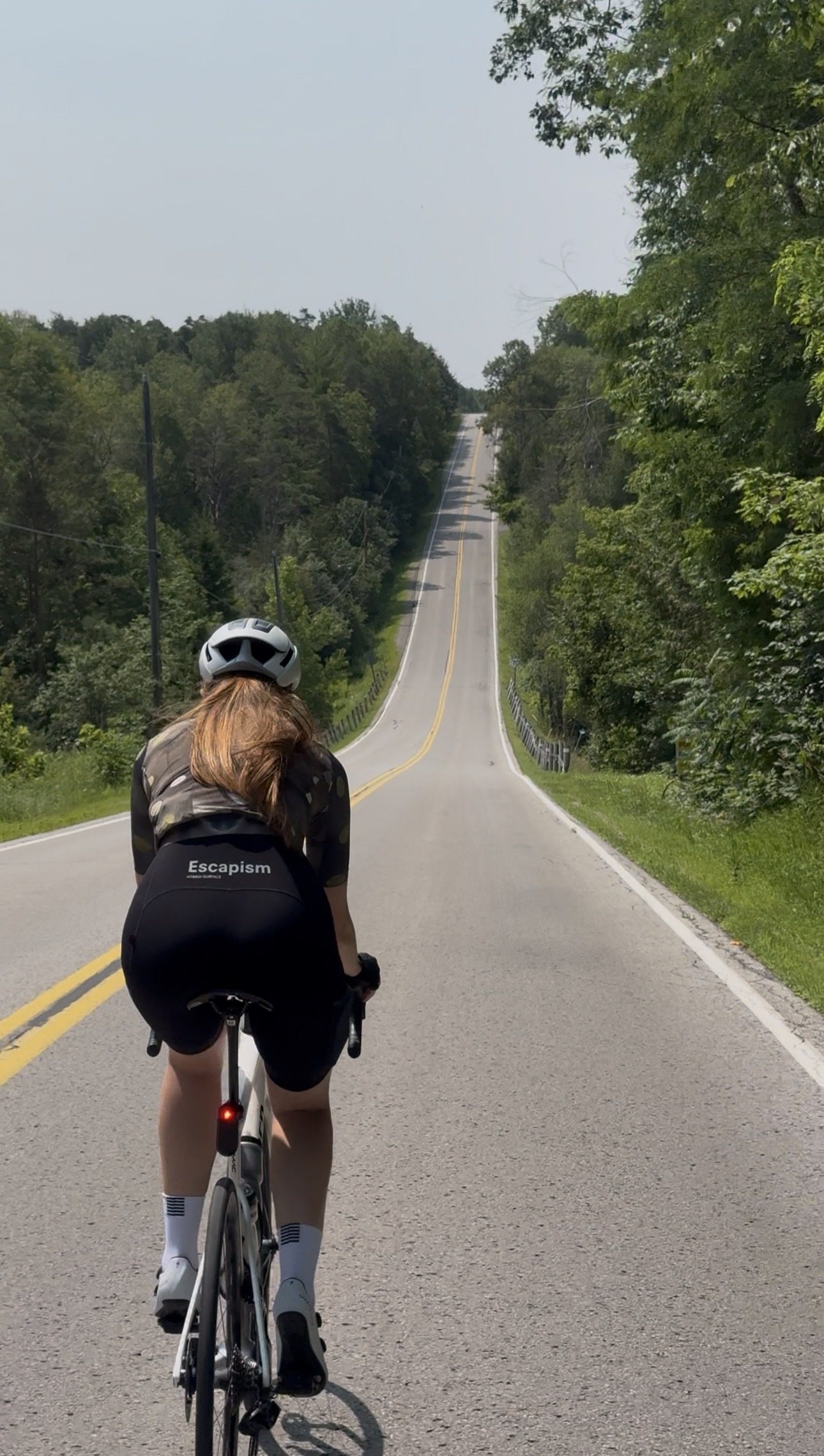 Rolling tree-lined country road dipping and climbing into the distance