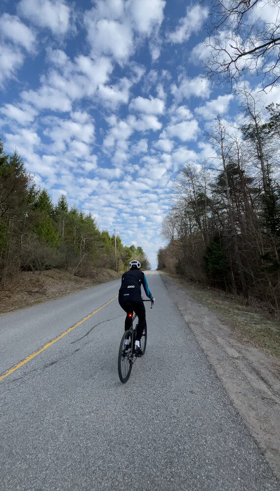 Road heading into the trees near Rouge park